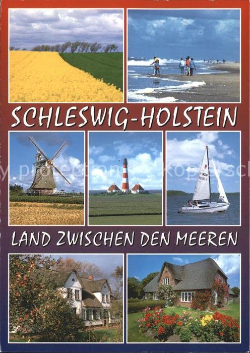 Kappeln Schlei Schönheiten Schleswig Holsteins Rapsfel
