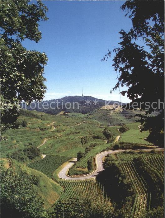 Kaiserstuhl Region Panorama Blick zum Totenkopf Weinanbaug