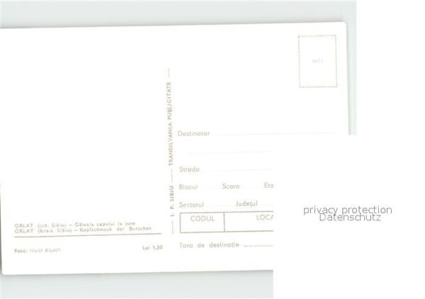 Orlat Sibiu Kopfschmuck der Burschen – Bild 2