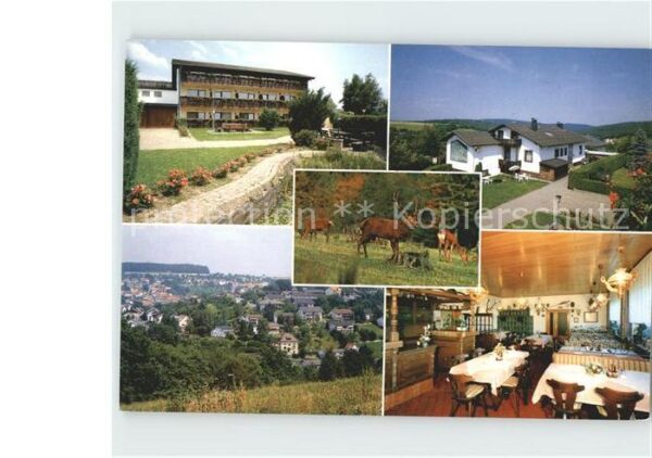 Luetzelbach Odenwald Pension Talblick Gastraum Panorama Wild