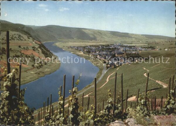 Kroev Mosel Mosel
