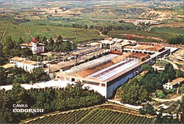 Codorniu Fliegeraufnahme Cavas