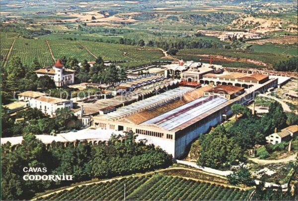 Codorniu Fliegeraufnahme Cavas