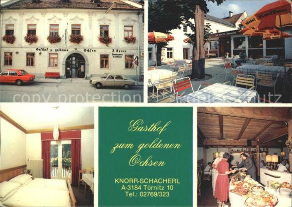 Tuernitz Niederoesterreich Gasthof zum goldenen Ochsen