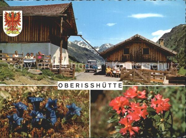 Neustift Stubaital Tirol Oberisshütte Enzian Alpenflora