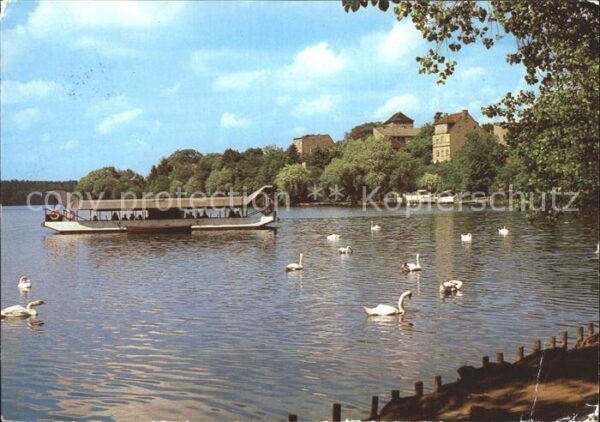 Strausberg Brandenburg Partie am Straussee Boot Schwäne