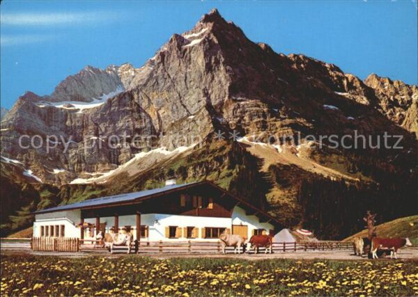 Engalm Rasthütte Kühe Karwendelgebirge