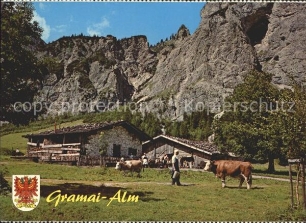 Pertisau Achensee Gramai Alm aus 16. Jhdt. Kühe Karwendel