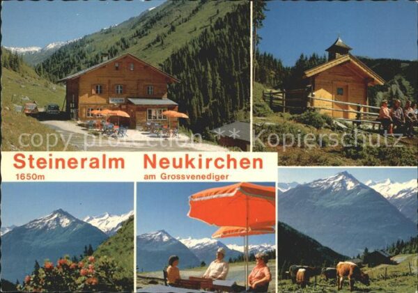 Neukirchen Grossvenediger Gasthof Skihütte Steineralm Alpenpanora