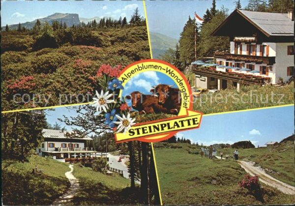 Waidring Tirol Alpengasthof Steinplatte Restaurant Caf