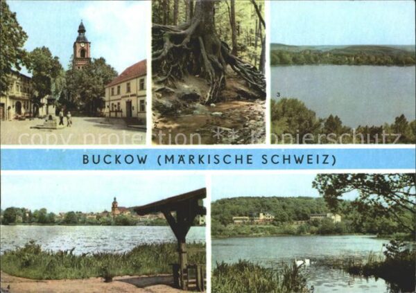 Buckow Maerkische Schweiz Markt Wurzelfichte Schermützelsee Bocko