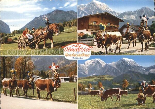 Berchtesgaden Almabtrieb