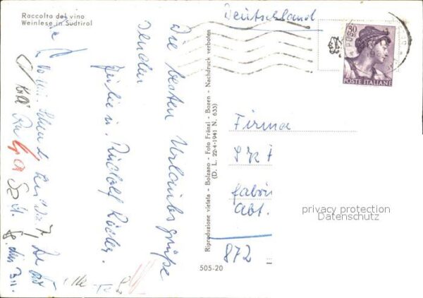 Suedtirol Weinlese – Bild 2