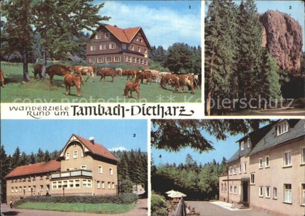 Dietharz Tambach Berghotel Ebertswiese Falkenstein Rodeb