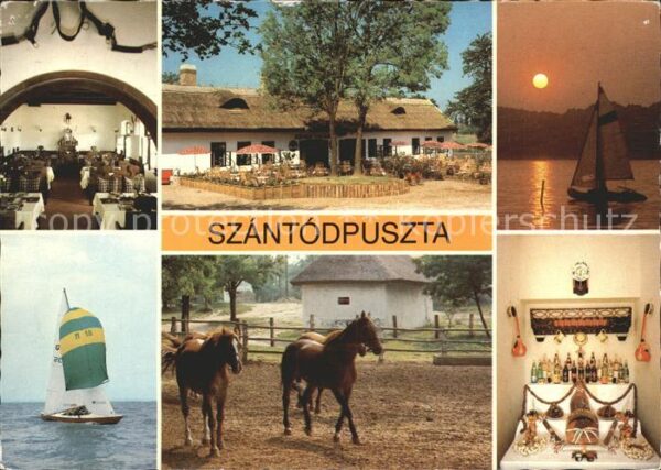 Szantodpuszta Restaurant am Plattensee Segeln Pferde
