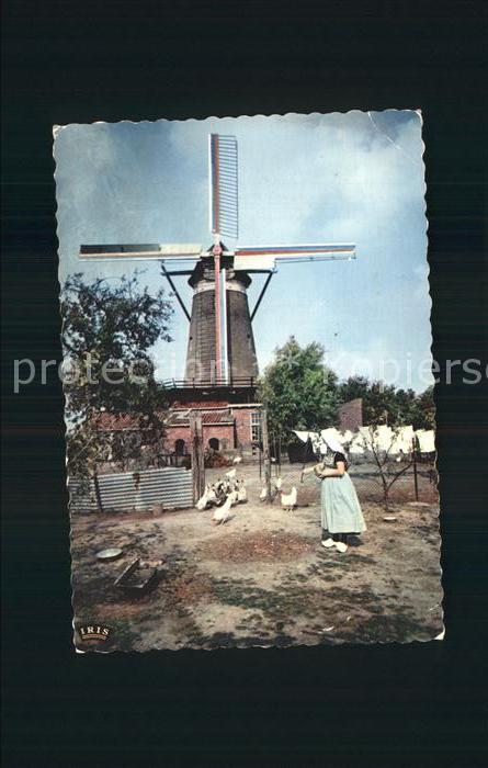 Zeeland Niederlande Hollandre Molen Windmühle
