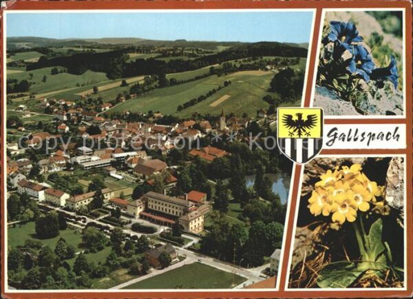 Gallspach Kurort Fliegeraufnahme Alpenflora Blaue