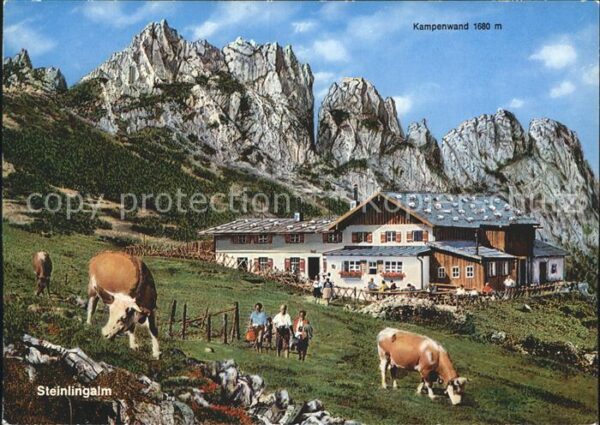 Aschau Chiemgau Steinlingalm Kühe Kampenwand Chiemgauer