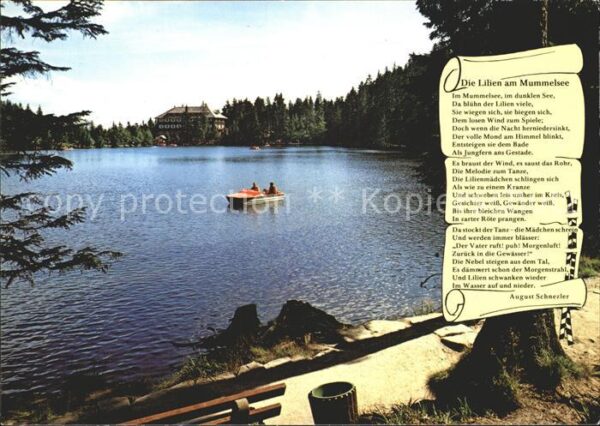Mummelsee Die Lilien am Mummelsee Gedicht Berghot