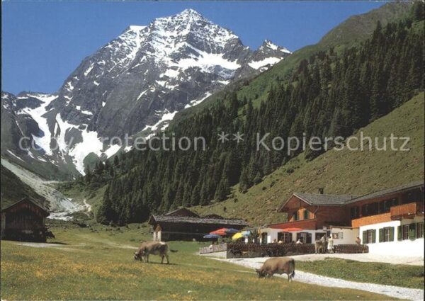 Pinnistal Alpengasthaus Pinnisalm Habicht