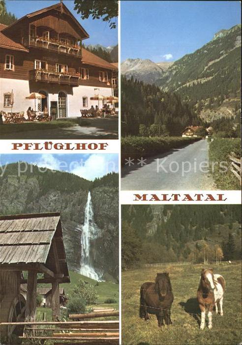 Maltatal Kaernten Alpenhotel Pflüglhof Pferde