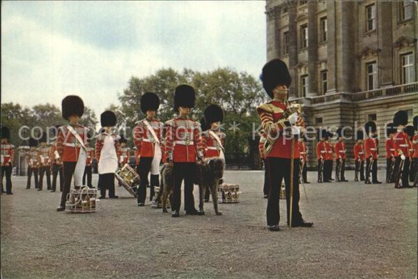 Leibgarde Wache Corps of Drum 1st Battalion Irish Guard