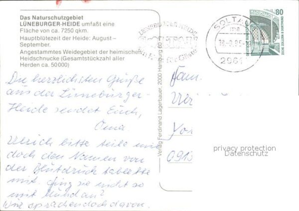 Schafe Hirte Lüneburger Heide – Bild 2