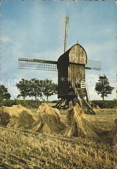 Windmuehle Standerd Molen Ter Haar
