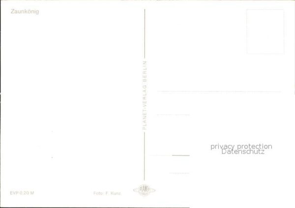 Voegel Zaunkönig – Bild 2