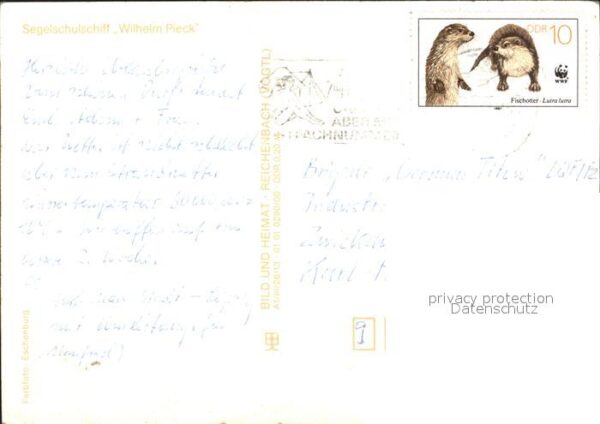 Segelschiffe Segelschulschiff Wilhelm Pieck – Bild 2