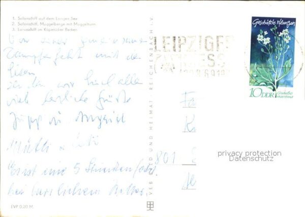Motorschiffe Müggelberge Müggelsee Köpenicker Becken – Bild 2