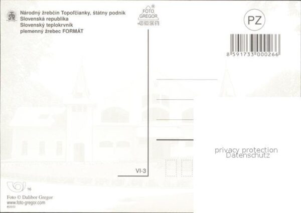 Pferde Teplokrvnik plemenny zrebec – Bild 2