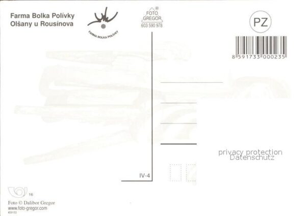 Pferde Farma Bolka Polivky Olsany u Rousinova – Bild 2