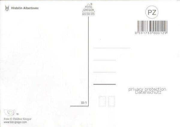 Pferde Hrebcin Albertovec – Bild 2