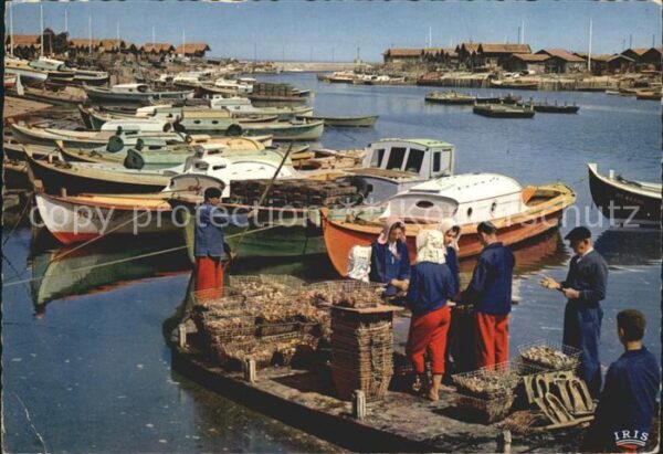 Meerestiere Austern Triage des huitres Bassin d_Arc