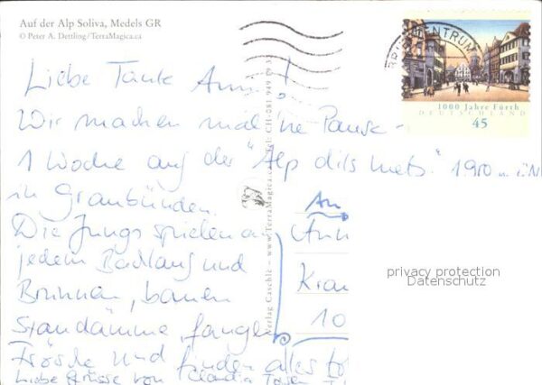 Kuehe Alp Soliva Medels GR – Bild 2