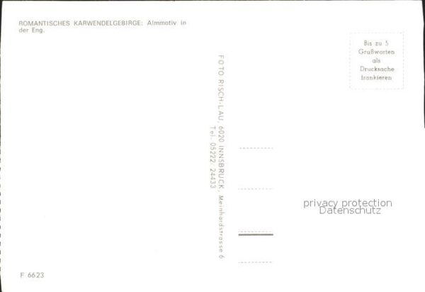 Kuehe Karwendelgebrige Eng – Bild 2