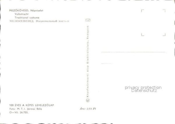 Trachten Ungarn Mezökövesd Nepviselet Puppe – Bild 2