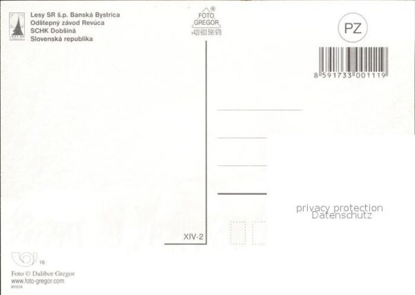 Pferde Schk Dobsina – Bild 2