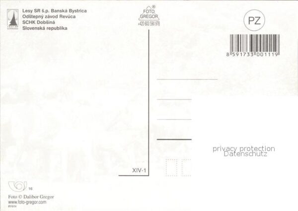 Pferde Schk Dobsina – Bild 2