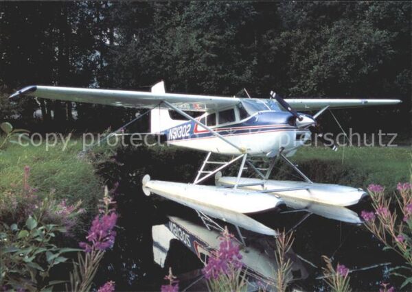 Flugzeuge Zivil CESSNA 180H N91302 serial nr. 18052038