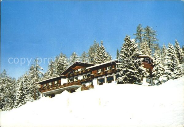 Toblach Suedtirol Albergo Alpino Monte Rota