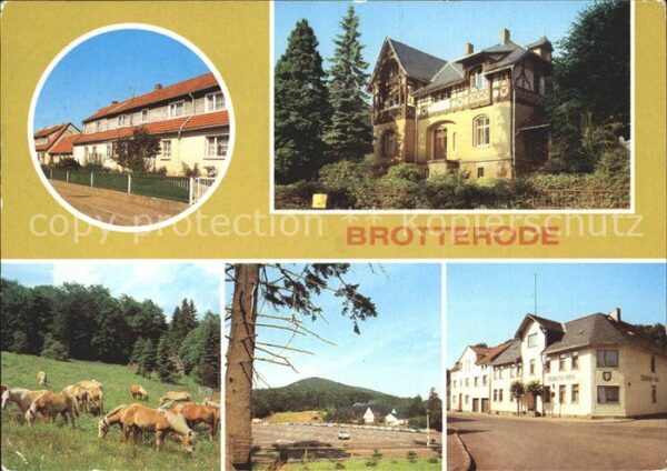 Brotterode Siedlerstrasse Jugendherberge Erns Knaa