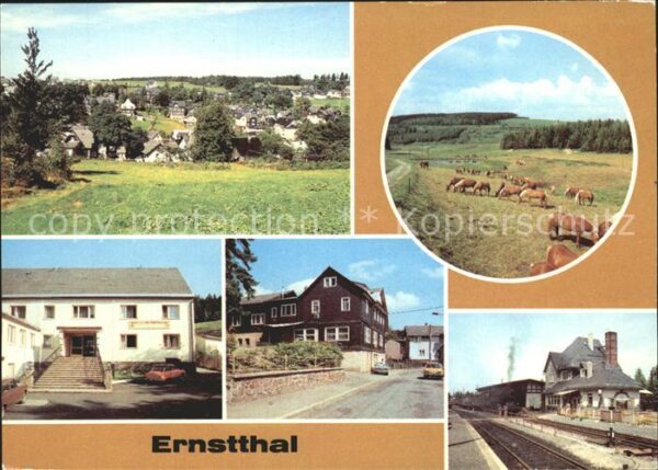 Ernstthal Haflinger Ferienheim Heinrich Rau Resta