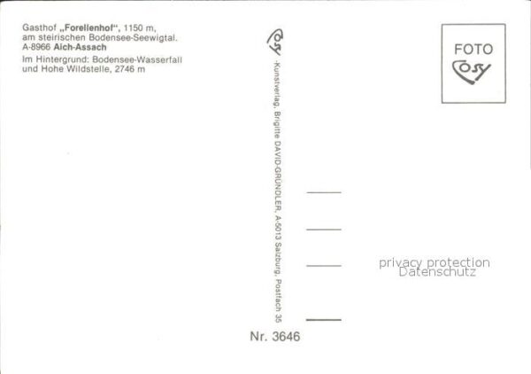 Aich Assach Steiermark Gasthof Forellenhof Bodensee-Seewigtal – Bild 2