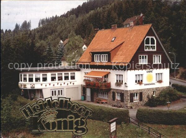 Wildemann Heidelbeer-König Cafe Sonnenhügel