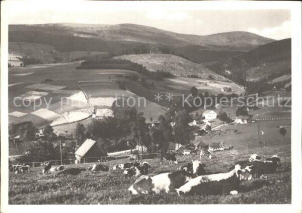 Rochlitz Sachsen mit Kahlen Berg