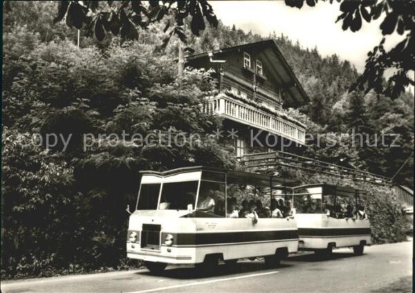 Schwarzburg Thueringer Wald Schwarza Expreß am Schweizerhaus