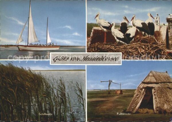 Oesterreich Neusiedlersee Storchen Pußtamotiv