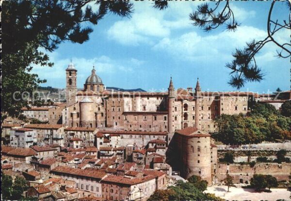 Urbino